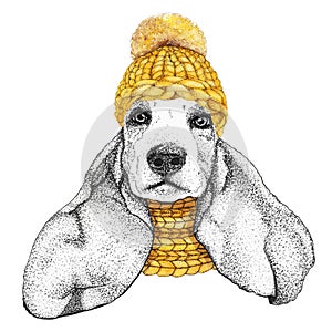 Spaniel with yellow knitted hat and scarf. Hand drawn illustration of dressed dog