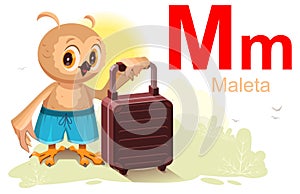 Spanish abc alphabet letter m maleta translation suitcase. Owl bird keep travel suitcase photo