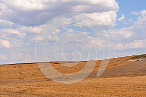 Spanish agriculture fields in summer trees