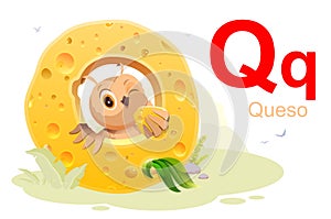 Spanish alphabet letter Q cheese translation Queso. Bird owl eating cheese