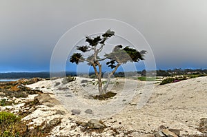 Spanish Bay - Pebble Beach, California