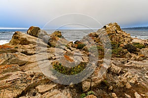 Spanish Bay - Pebble Beach, California