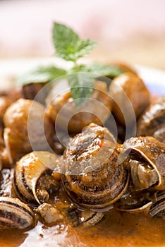 Spanish caracoles en salsa, cooked snails in sauce