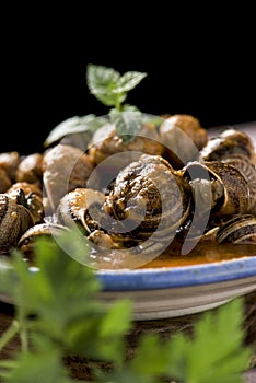 Spanish caracoles en salsa, cooked snails in sauce