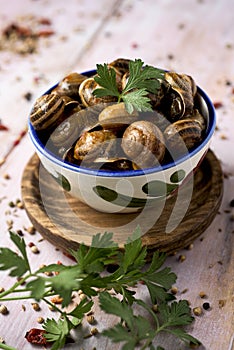 Spanish caracoles en salsa, cooked snails in sauce photo