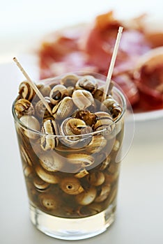 Spanish caracolillos en caldo, a recipe of snails photo