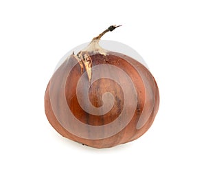 Spanish chestnuts isolated on white