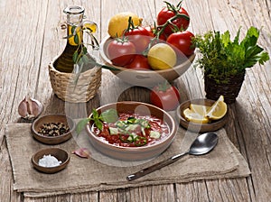 Spanish cold tomato based soup gazpacho served in a clay plate