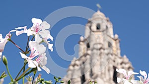 Spanish colonial revival architecture, Bell Tower, flower, San Diego Balboa Park