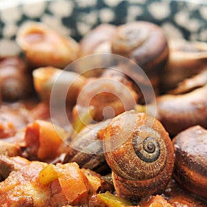 Spanish cooked snails in sauce