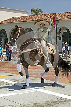 Spanish cowboy on horseback during opening day parade down State Street, Santa Barbara, CA, Old Spanish Days Fiesta, August 3-7