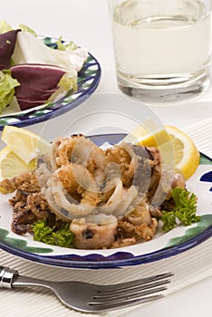 Spanish cuisine. Andalusian deep-fried squids.