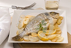 Spanish cuisine. Baked gilthead. photo