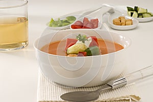 Spanish Cuisine. Gazpacho. Andalusian cold soup.