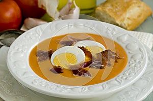 Spanish Cuisune. Salmorejo. photo