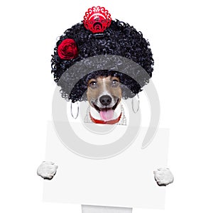 Spanish dog