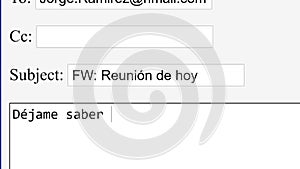 Spanish. Entering Forwarding Email Body Online Box. Send Forwarded Communication to Recipient by Typing E-Mail on Website. FW