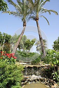 Spanish garden with a waterfall, palm trees, & flowers