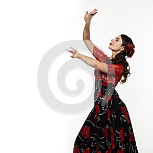 Spanish girl flamenco dancer on a light background. free space for your text