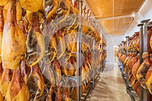 Spanish ham cellar. Food industry