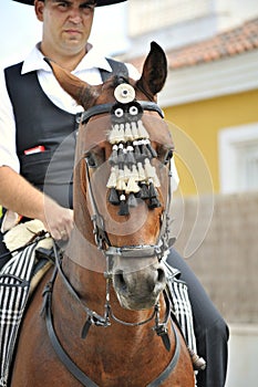 Spanish Horse with Rider