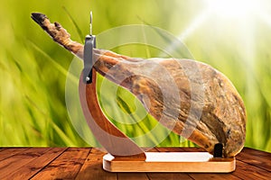 Spanish iberian ham, whole leg