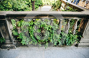 Spanish and Italian style architecture. Old stone wall and balcony with green plants