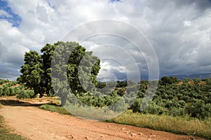 Spanish landscape