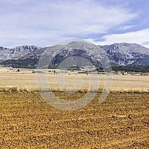 Spanish landscape in the morning