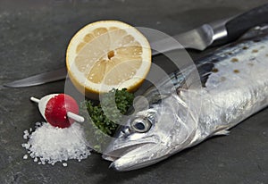 Spanish mackerel, salt,lemon and parsley ready for