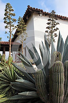 Spanish Mission With Cactus