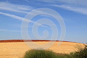 Spanish mowed and plowed fields in autumn
