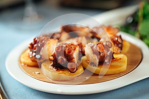 Spanish national dish octopus in galician photo