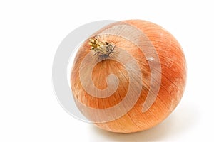 Spanish onion