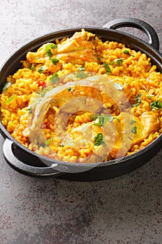 Spanish paella with rabbit close-up in a frying pan. Vertical