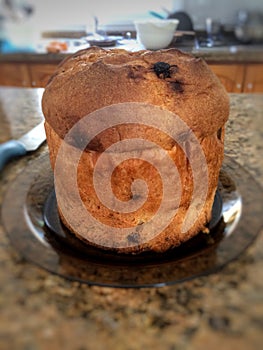 Spanish pannetone cake