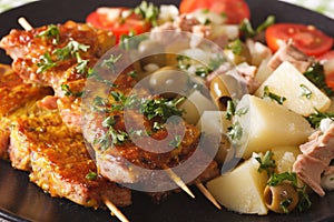 Spanish Pork Kabobs - Pinchos Morunos and Potatoes salad closeup
