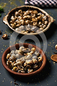 Spanish recipe of snails cooked in brow