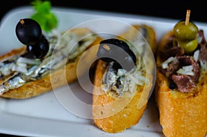 Spanish seafood tapas, mini sandwiches food set, delicious snac