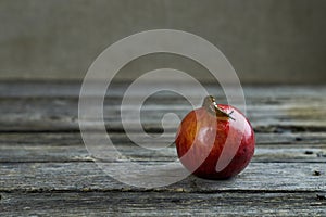 Spanish snail crawling on a red ripe apple.