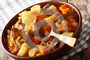 Spanish stew estofado with beef and vegetables in a bowl close-up. horizontal photo