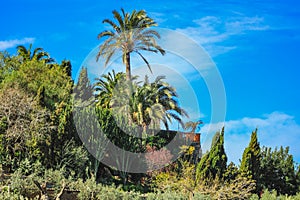 Spanish style house with plants and flowers located in Mallorca, Spain