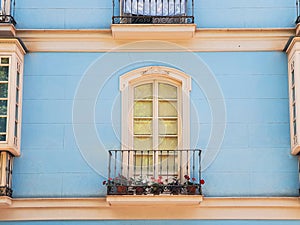 spanish style window with flowers pot in Malaga - Andalusia, Spain