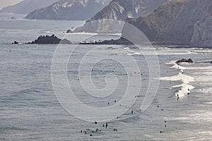 Spanish surfers coastline beach in basque country. Spelana, Spain
