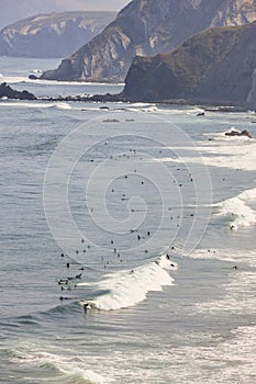 Spanish surfers coastline beach in basque country. Spelana, Spain