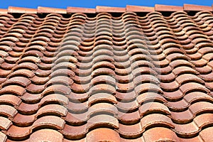 Spanish Tile Roof Texture