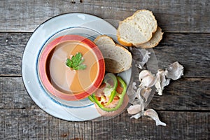 Spanish tomato gazpacho soup with garlic, bread and green pepper