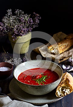 Spanish tomato soup gazpacho on a wooden background. Dark food photography