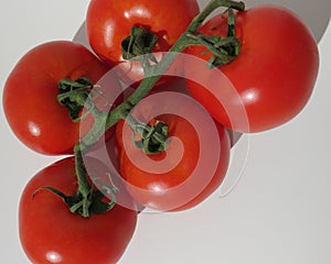 Spanish tomatoes on twig