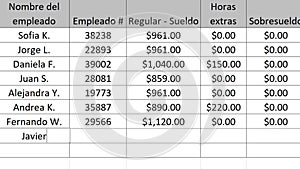 Spanish. Typing Company Payroll Financial Figures Numbers For The Current Period in Spreadsheet. Type Up Employee Pay and Overtime